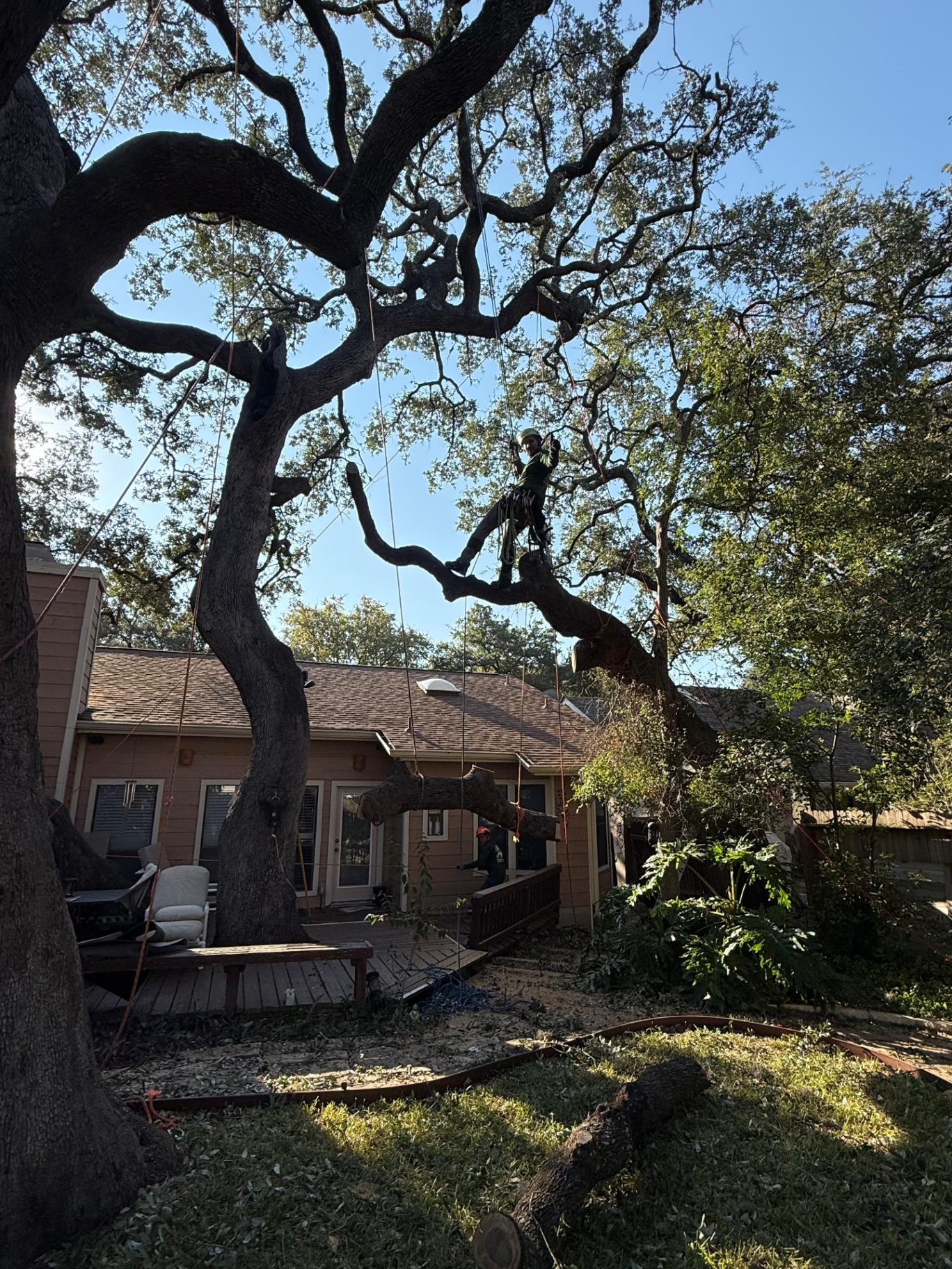 Land Clearing in San Antonio